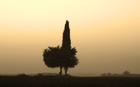 Tramonto nel parco dell