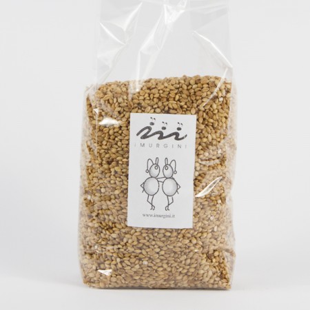 orzo_mondo_1